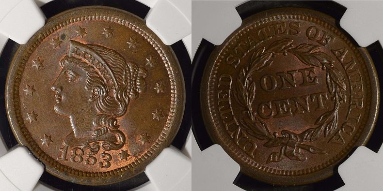 Check-One-Off-The-Bucket-List---A-Mint-State-Braided-Hair-Large-Cent!